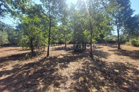 Helårsgrund i Fundao, Castelo Branco, Fundao - € 28.500 | Ref: 255230111 - foto 14