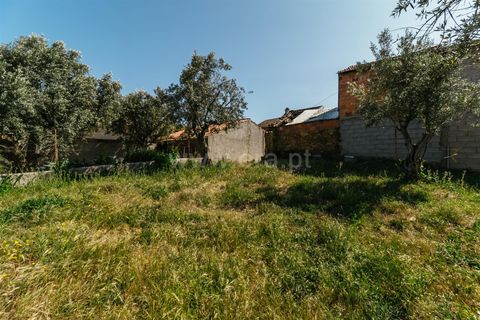 Helårsgrund i Fundao, Castelo Branco, Fundao - € 23.000 | Ref: 255230112 - foto 7