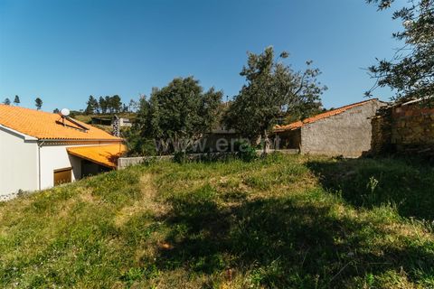 Helårsgrund i Fundao, Castelo Branco, Fundao - € 23.000 | Ref: 255230112 - foto 8