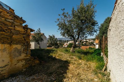 Helårsgrund i Fundao, Castelo Branco, Fundao - € 23.000 | Ref: 255230112 - foto 11
