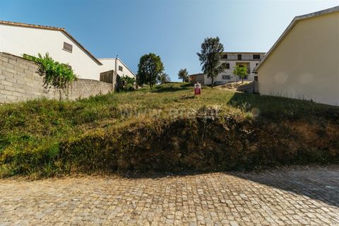 Helårsgrund i Fundao, Castelo Branco, Fundao - € 23.000 | Ref: 255230112 - foto 14