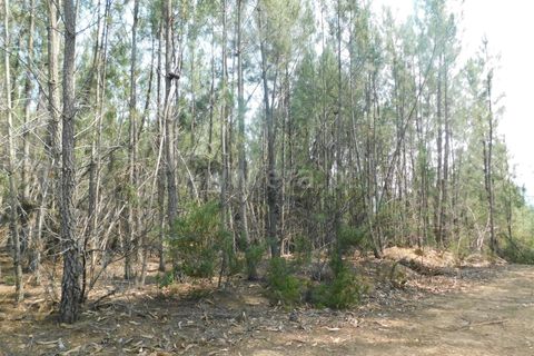 Helårsgrund i Covilha, Castelo Branco, Covilha - € 11.900 | Ref: 255230139 - foto 2