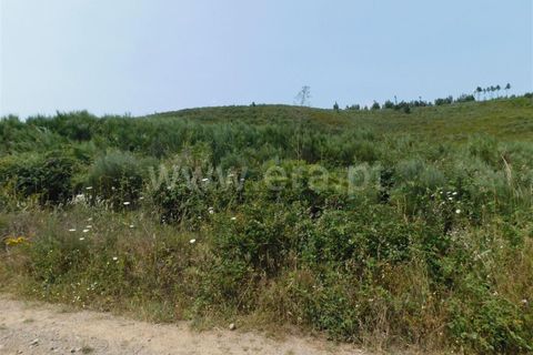 Helårsgrund i Covilha, Castelo Branco, Covilha - € 39.500 | Ref: 255230142 - foto 2