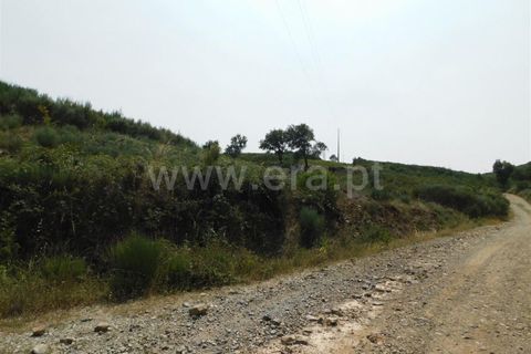 Helårsgrund i Covilha, Castelo Branco, Covilha - € 39.500 | Ref: 255230142 - foto 3