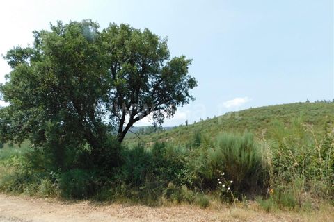 Helårsgrund i Covilha, Castelo Branco, Covilha - € 39.500 | Ref: 255230142 - foto 5