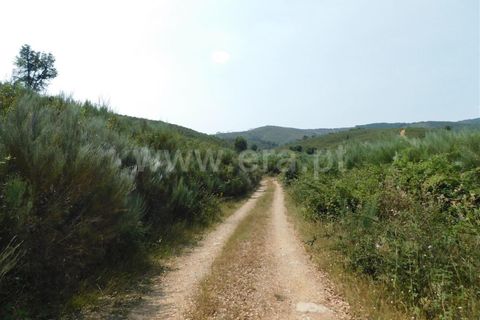 Helårsgrund i Covilha, Castelo Branco, Covilha - € 39.500 | Ref: 255230142 - foto 6