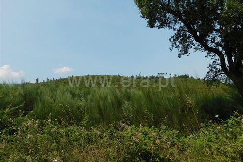 Helårsgrund i Covilha, Castelo Branco, Covilha - € 39.500 | Ref: 255230142 - foto 7