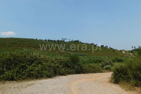 Helårsgrund i Covilha, Castelo Branco, Covilha - € 39.500 | Ref: 255230142 - foto 8