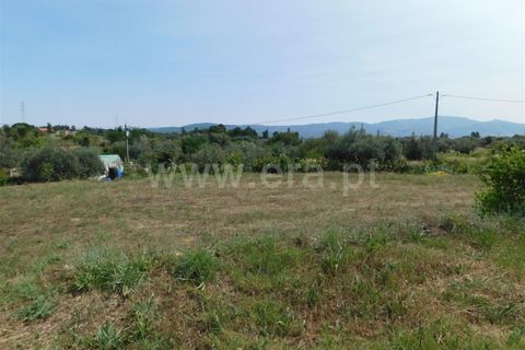 Helårsgrund i Fundao, Castelo Branco, Fundao - € 12.500 | Ref: 255230138 - foto 2