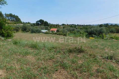 Helårsgrund i Fundao, Castelo Branco, Fundao - € 12.500 | Ref: 255230138 - foto 3