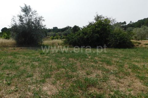 Helårsgrund i Fundao, Castelo Branco, Fundao - € 12.500 | Ref: 255230138 - foto 4