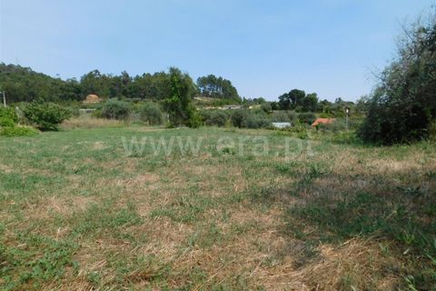 Helårsgrund i Fundao, Castelo Branco, Fundao - € 12.500 | Ref: 255230138 - foto 5