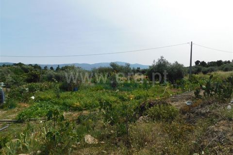 Helårsgrund i Fundao, Castelo Branco, Fundao - € 12.500 | Ref: 255230138 - foto 6