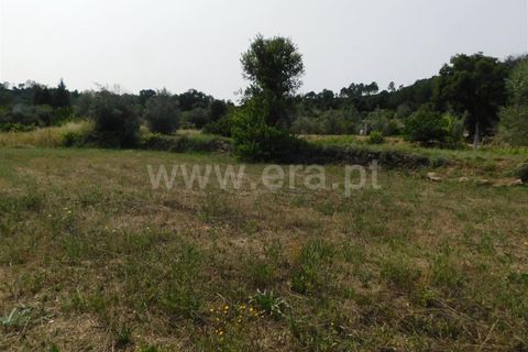 Helårsgrund i Fundao, Castelo Branco, Fundao - € 12.500 | Ref: 255230138 - foto 7