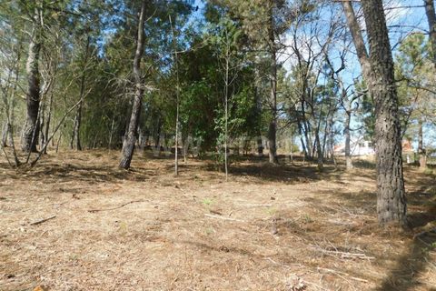 Helårsgrund i Fundao, Castelo Branco, Fundao - € 40.000 | Ref: 255230081 - foto 4