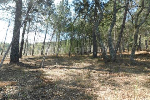 Helårsgrund i Fundao, Castelo Branco, Fundao - € 40.000 | Ref: 255230081 - foto 5