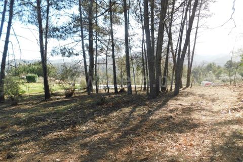 Helårsgrund i Fundao, Castelo Branco, Fundao - € 40.000 | Ref: 255230081 - foto 6