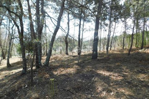 Helårsgrund i Fundao, Castelo Branco, Fundao - € 40.000 | Ref: 255230081 - foto 8