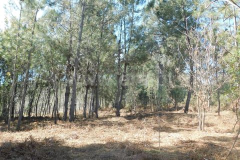 Helårsgrund i Fundao, Castelo Branco, Fundao - € 40.000 | Ref: 255230081 - foto 10