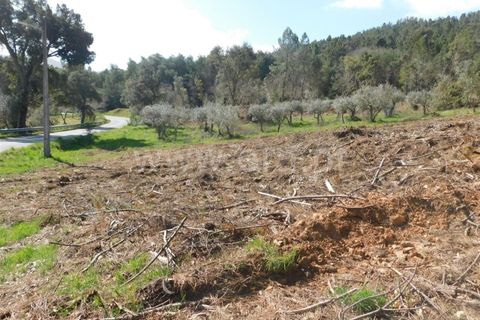 Helårsgrund i Fundao, Castelo Branco, Fundao - € 40.000 | Ref: 255230081 - foto 11