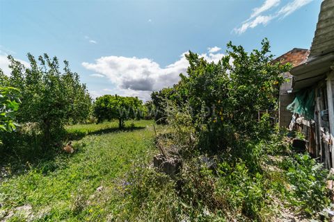 Helårsgrund i Fundao, Castelo Branco, Fundao - € 33.500 | Ref: 255230167 - foto 5