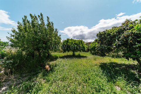 Helårsgrund i Fundao, Castelo Branco, Fundao - € 33.500 | Ref: 255230167 - foto 6