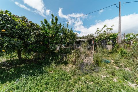 Helårsgrund i Fundao, Castelo Branco, Fundao - € 33.500 | Ref: 255230167 - foto 7