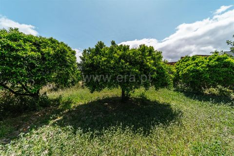 Helårsgrund i Fundao, Castelo Branco, Fundao - € 33.500 | Ref: 255230167 - foto 8