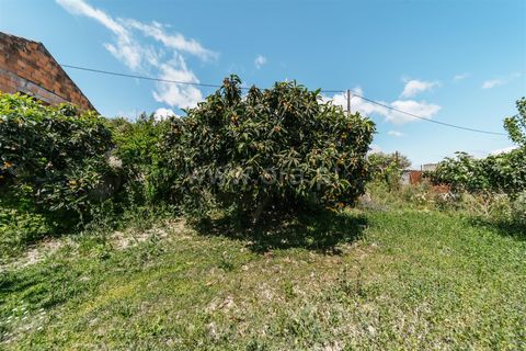 Helårsgrund i Fundao, Castelo Branco, Fundao - € 33.500 | Ref: 255230167 - foto 9