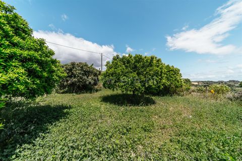 Helårsgrund i Fundao, Castelo Branco, Fundao - € 33.500 | Ref: 255230167 - foto 10