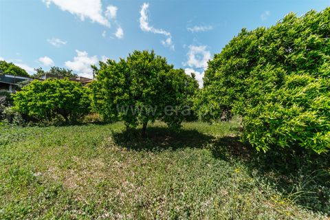Helårsgrund i Fundao, Castelo Branco, Fundao - € 33.500 | Ref: 255230167 - foto 11