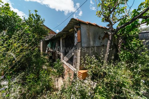 Helårsgrund i Fundao, Castelo Branco, Fundao - € 33.500 | Ref: 255230167 - foto 12