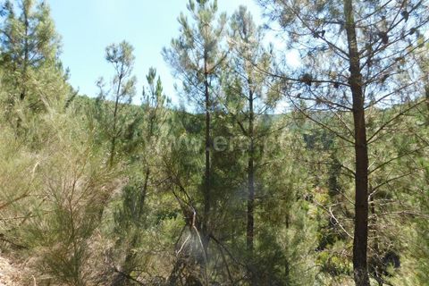 Helårsgrund i Fundao, Castelo Branco, Fundao - € 5.000 | Ref: 255230169 - foto 1