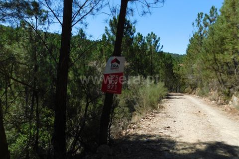 Helårsgrund i Fundao, Castelo Branco, Fundao - € 5.000 | Ref: 255230169 - foto 2
