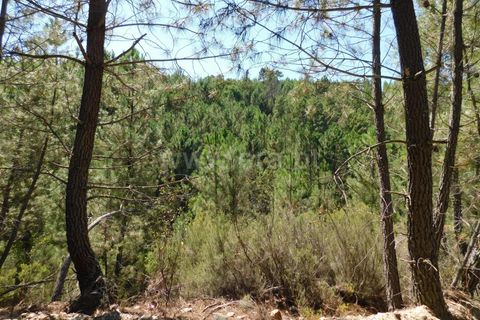 Helårsgrund i Fundao, Castelo Branco, Fundao - € 5.000 | Ref: 255230169 - foto 3