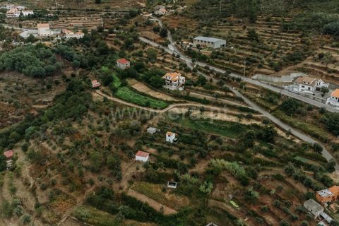 Villa i Covilha, Castelo Branco, Covilha - € 598.000 | Ref: 255230176 - foto 17