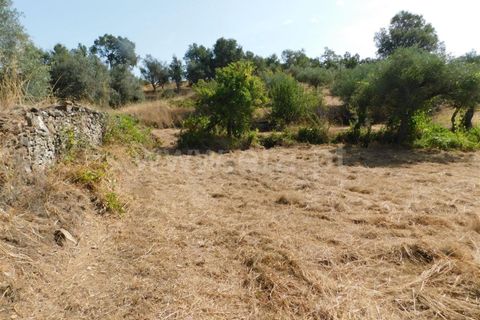 Tomt i Fundao, Castelo Branco, Fundao - € 10 000 | Ref: 255230178 - foto 3