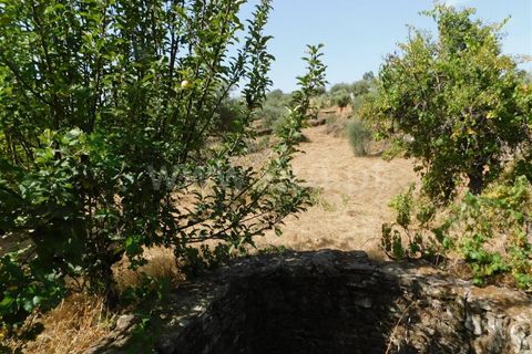 Tomt i Fundao, Castelo Branco, Fundao - € 10 000 | Ref: 255230178 - foto 4