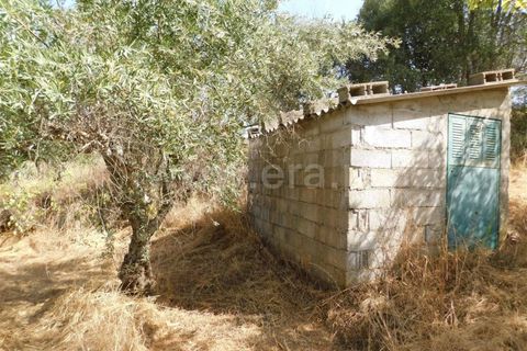 Tomt i Fundao, Castelo Branco, Fundao - € 10 000 | Ref: 255230178 - foto 5