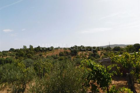 Tomt i Fundao, Castelo Branco, Fundao - € 10 000 | Ref: 255230178 - foto 7