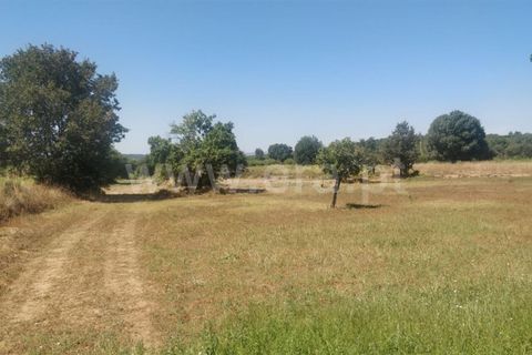 Tomt i Fundao, Castelo Branco, Fundao - € 9 000 | Ref: 255230179 - foto 2