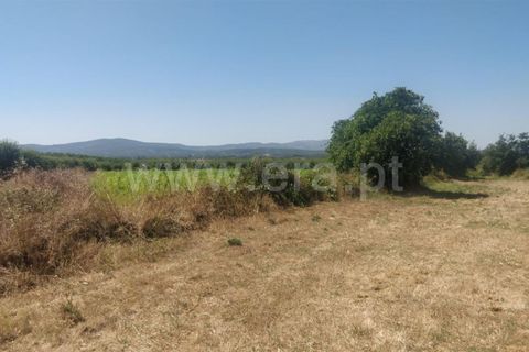 Tomt i Fundao, Castelo Branco, Fundao - € 9 000 | Ref: 255230179 - foto 3