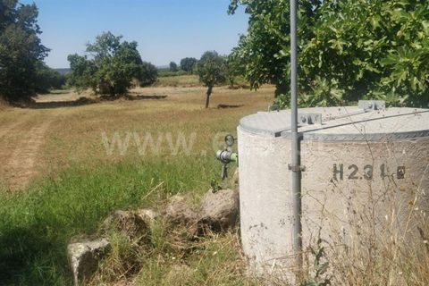 Tomt i Fundao, Castelo Branco, Fundao - € 9 000 | Ref: 255230179 - foto 5