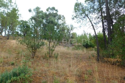 Tomt i Fundao, Castelo Branco, Fundao - € 39 950 | Ref: 255230180 - foto 2