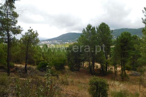 Tomt i Fundao, Castelo Branco, Fundao - € 39 950 | Ref: 255230180 - foto 4