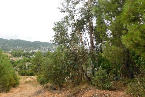 Tomt i Fundao, Castelo Branco, Fundao - € 39 950 | Ref: 255230180 - foto 5