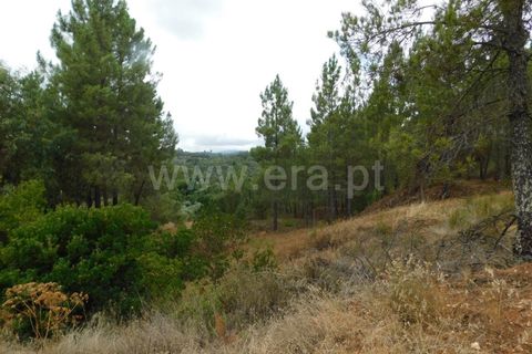 Tomt i Fundao, Castelo Branco, Fundao - € 39 950 | Ref: 255230180 - foto 6