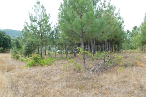 Tomt i Fundao, Castelo Branco, Fundao - € 39 950 | Ref: 255230180 - foto 8