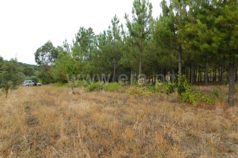 Tomt i Fundao, Castelo Branco, Fundao - € 39 950 | Ref: 255230180 - foto 9