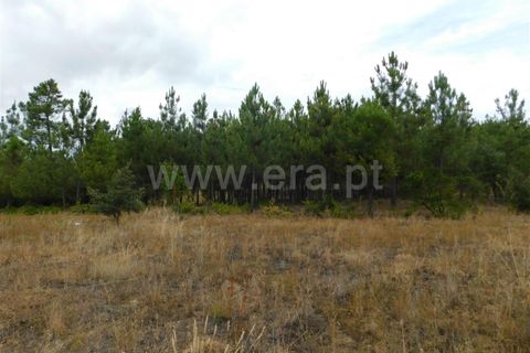 Tomt i Fundao, Castelo Branco, Fundao - € 39 950 | Ref: 255230180 - foto 10